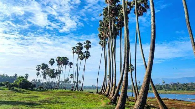 kampalathara-dam