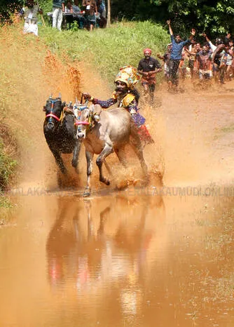 kanuthali