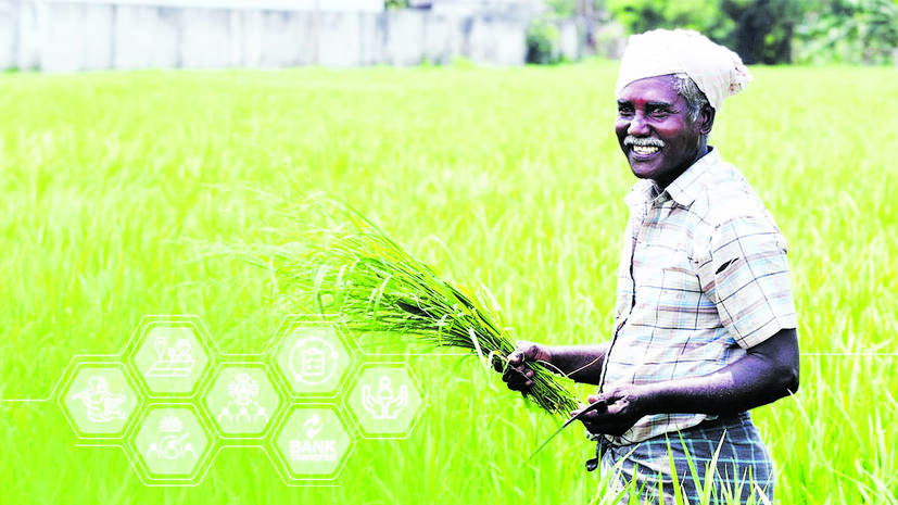 farmer