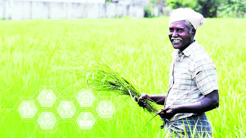 farmer