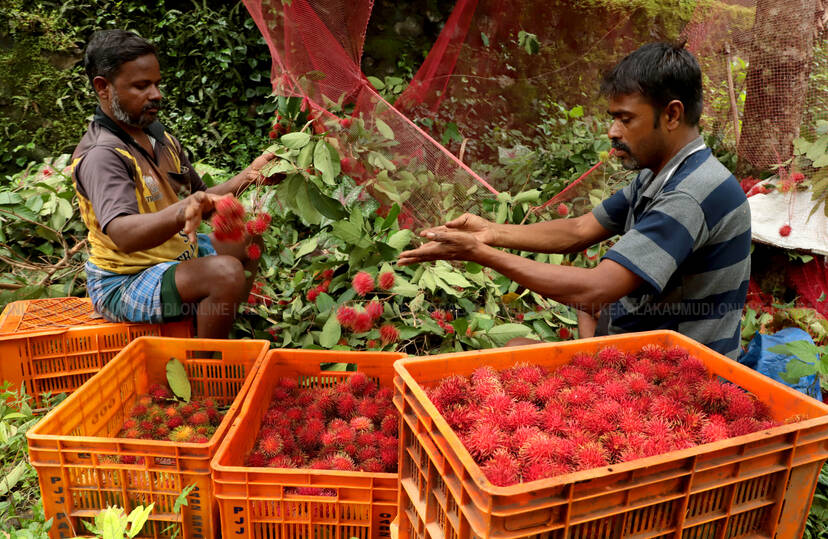 Kerala Kaumudi Photo Gallery
