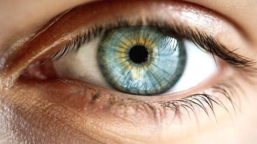 eye