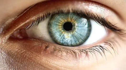 eye