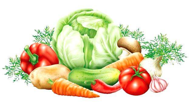 veg