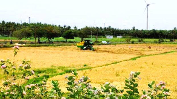 nellpadam-