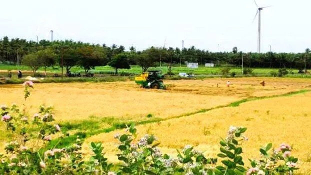 nellpadam-