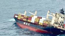msc