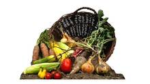 veg