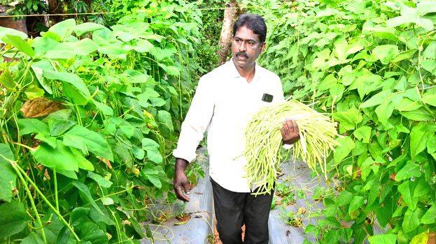 payar