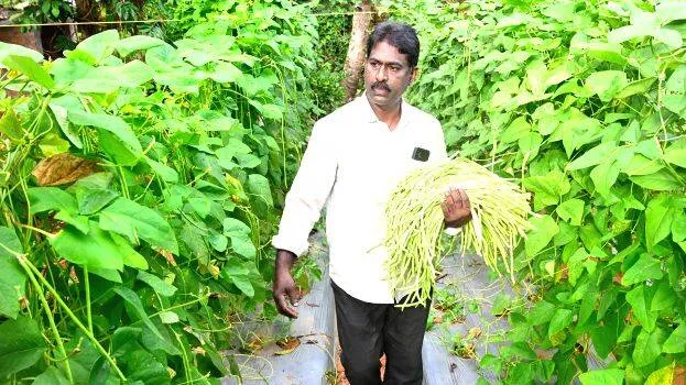 payar