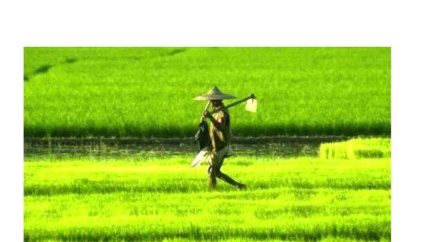krishi