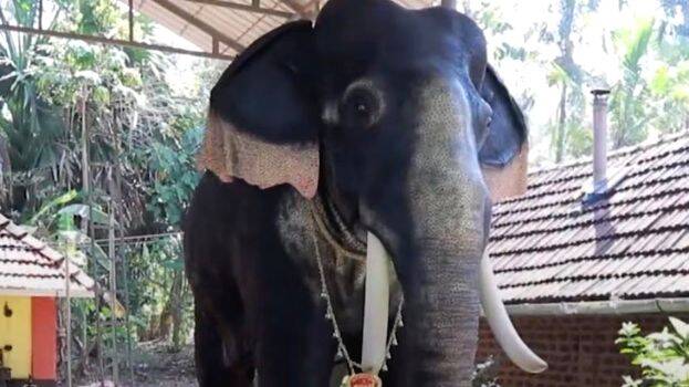ele