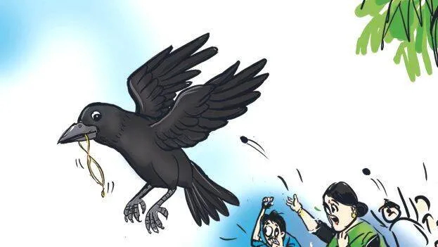 kaka