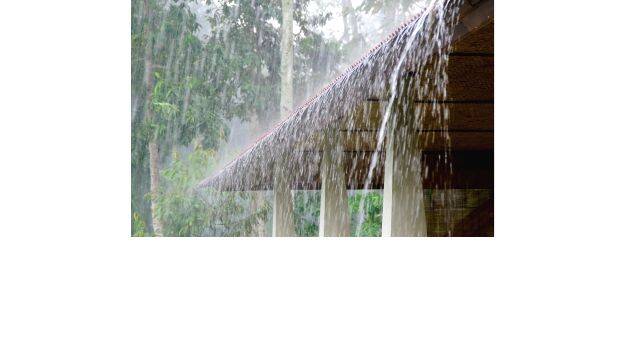 rain