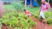 onam