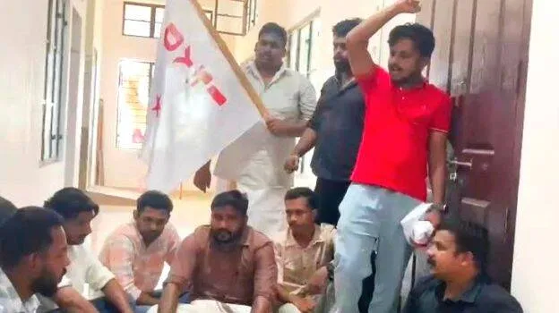 dyfi