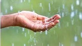 rain