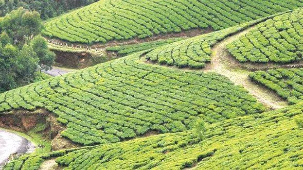 kannan