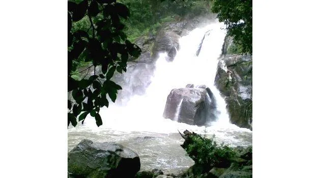 meenmutti