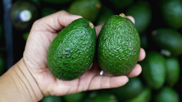 avacado