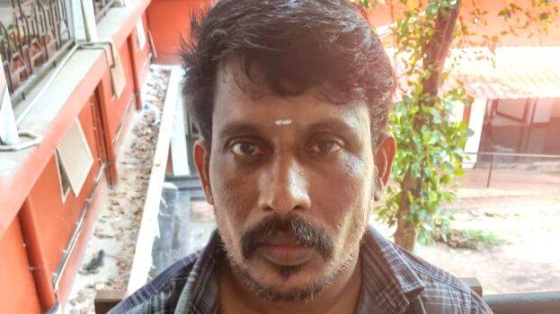 vimal