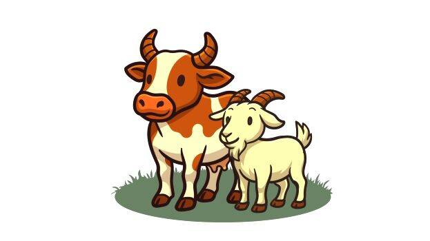 cow