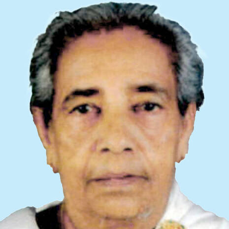 elamma-96 elamma-96
