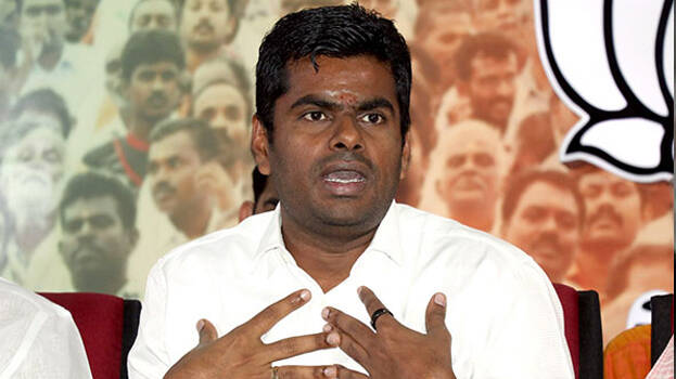 annamalai annamalai