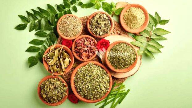 herbs