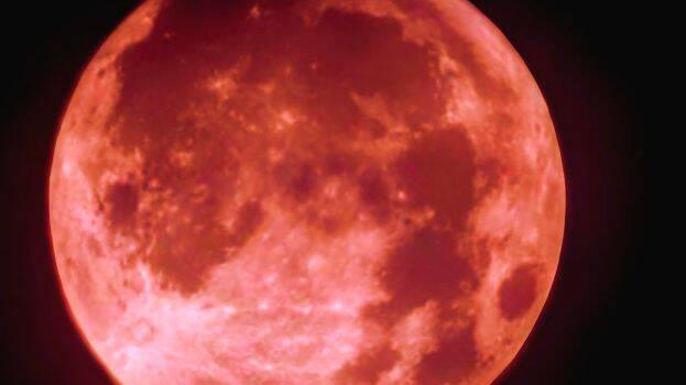 moon moon
