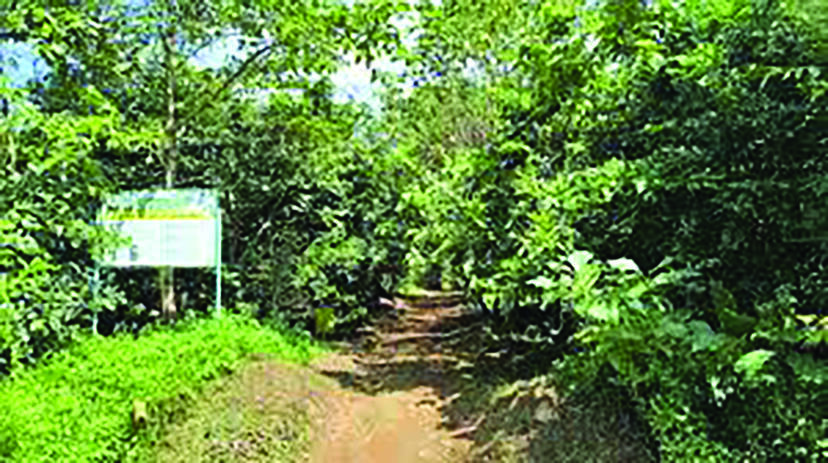 ayyappankavu
