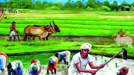 farmers