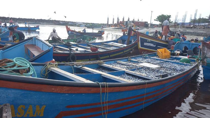 fiber-boat