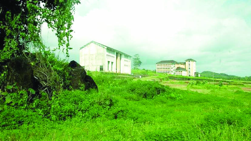 kinaloor
