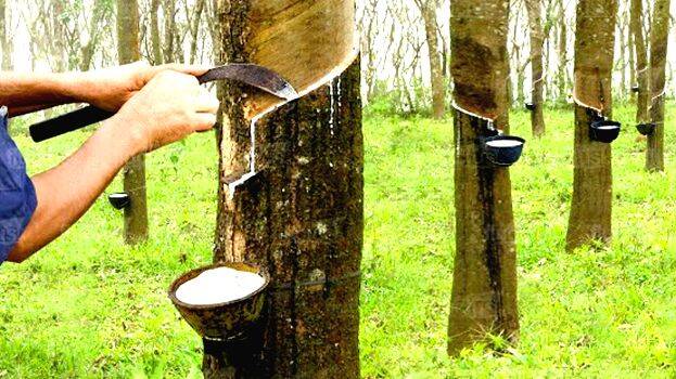 tapping