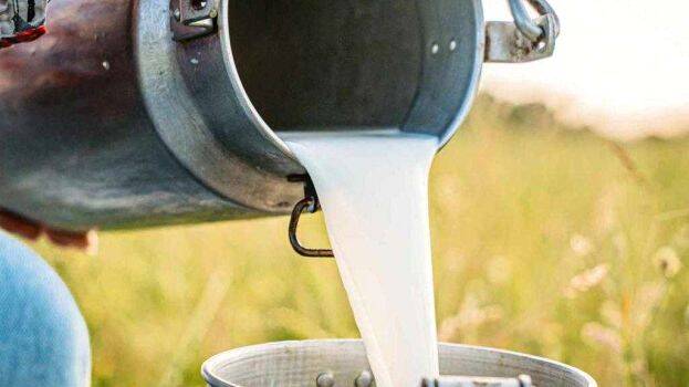 milk