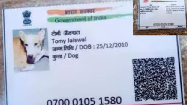adhaar-card adhaar-card