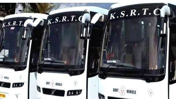 bus bus