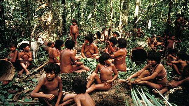 yanomami yanomami