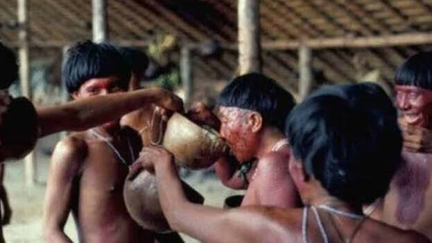 yanomami yanomami