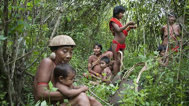 yanomami yanomami
