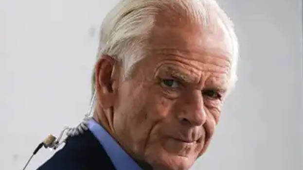 navarro navarro