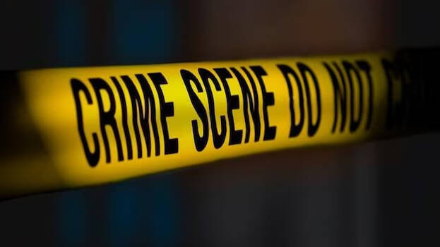 murder murder