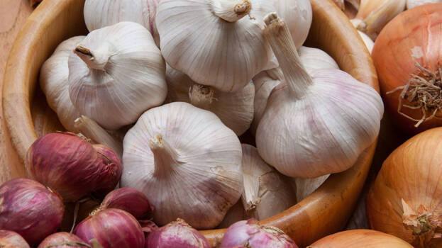 onions onions