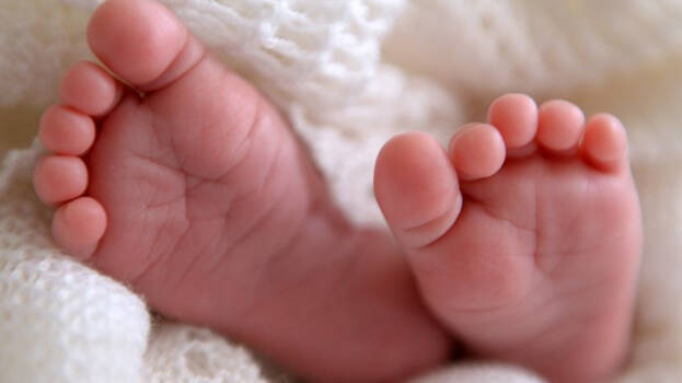 newborn newborn