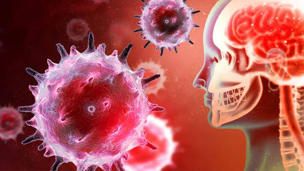 amoebic-disease amoebic-disease