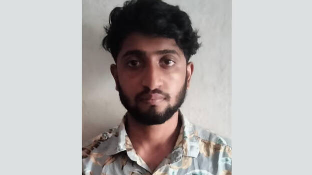 brajil brajil