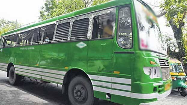 bus bus