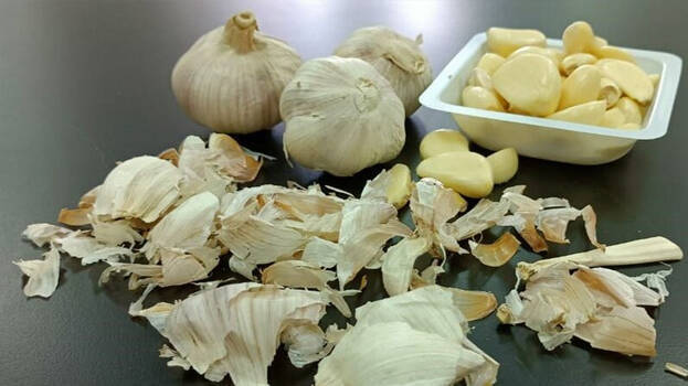 garlic garlic
