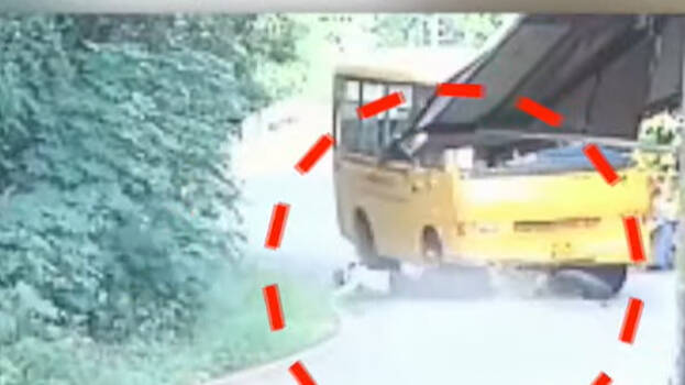 bus bus